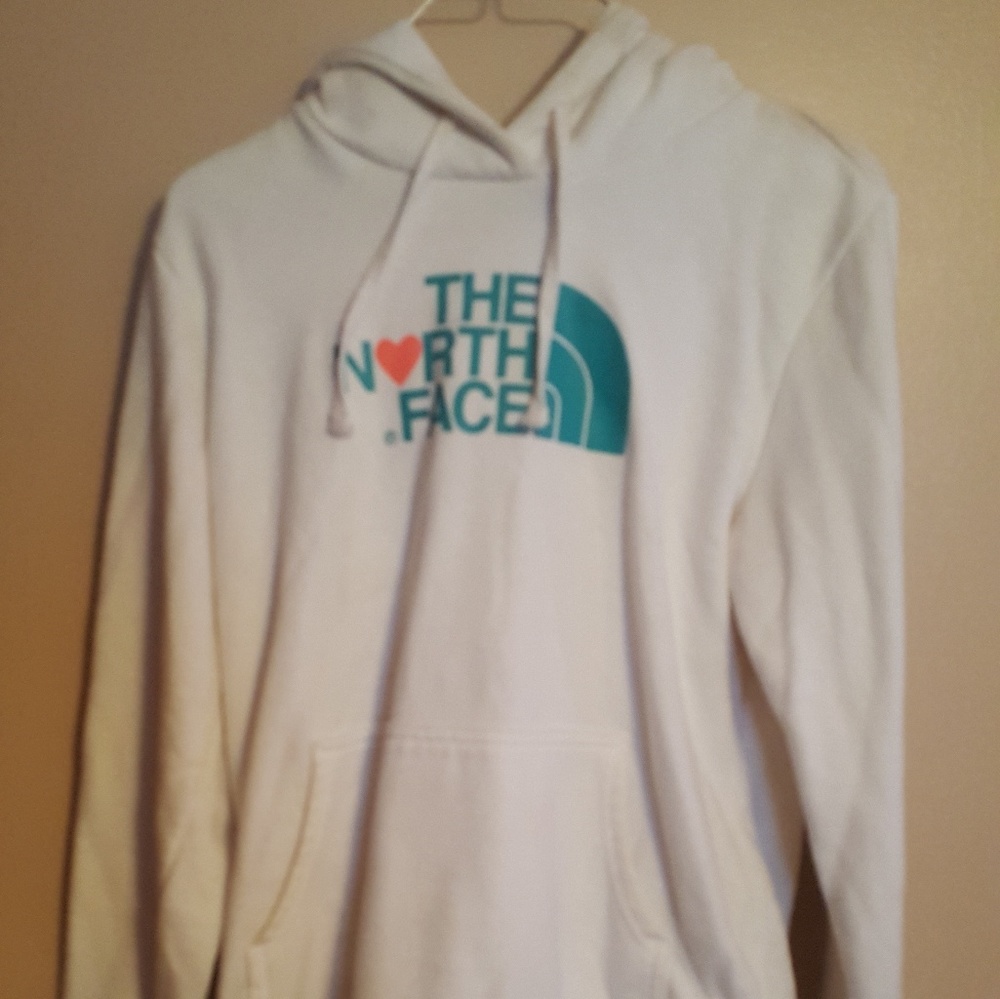 The north face pullover hoodie